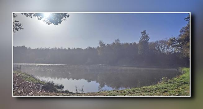 L'image représente un étang au lever du soleil, un rideau d'arbres sombres sur la rive opposée  se reflète dans l'eau calme. En haut à gauche de la photo les rayons du soleil pointent à travers le feuillage d'un arbre. Le ciel est bleu mais l'humidité ambiante adoucit les couleurs.
