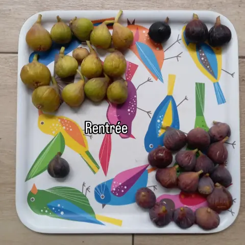 Des figues sur un plateau
