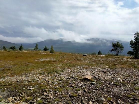 Auf dem Gipfel des Berges Ylläs in Nordfinnland. Blick in die Ferne mit weiteren Bergen. Vereinzelte Bäume auf dem sonst karlen Berg. Wolken am Himmel.