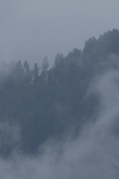 A mountain ridge, ascending from the left to the right. The whole scene is in a misty mood, white clouds of fog linger in front of and behind the ridge, which seems to float in mid air or emerge from within the fog.
Along the ridge there are dark trees that contrast the bright grey background.