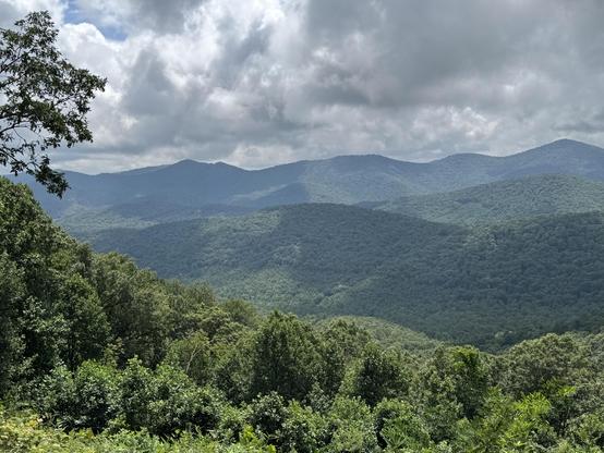 Might have posted this one before, about a week ago after our section of the Blue Ridge Parkway reopened.  An overcast, pretty day, with everything still green as far as you can see.  Layer after layer of green hills stretch away.  The bank we're standing on has lower shrubs, and then the trees take over as you move down-slope.  Green, green, green.
But in a month, if you want to see color, this is the place to be.  Asheville.