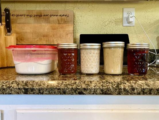 A photo of four containers on a kitchen counter. On the left is a large plastic tupperware with a powdered mix in it. The next three are 8-ounce jars with the different sauces.