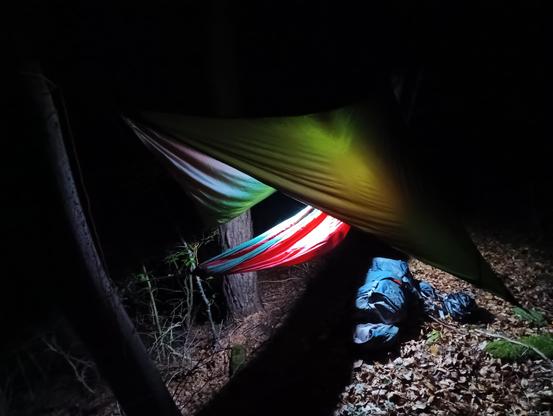 Mon hammac avec son tarp, éclairé par une lampe (non visible) sous le tarp, en forêt, en pleine nuit