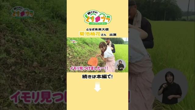 【とちブラ#shorts2025 #19】とちぎで農泊 #栃木県 #菊池柚花 #農泊 #大田原市 #とちブラ