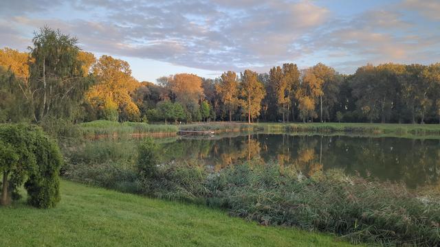 Wald und See. Die Baumkronen sind noch von der Sonne beschienen