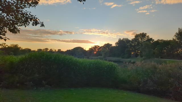 See und Wald im Dunkel, dahinter Himmel im Abendrot