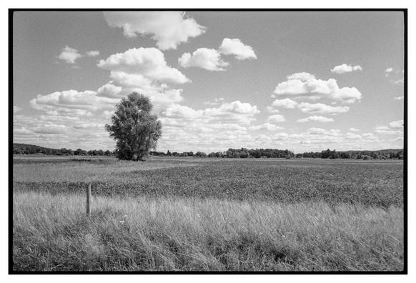 Black and white photograph in landscape orientation. Clouds standing out in the sky over a flat landscape with a line of trees in the background. A Lone tree and a lone (fence?) pole are standing in the foreground.