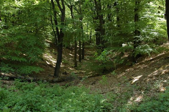 nijmegen_aquaduct_orientalis1