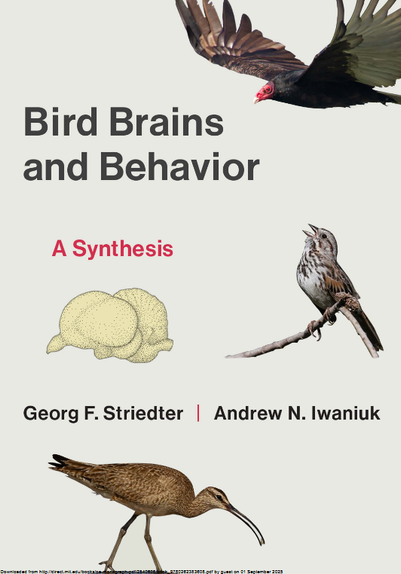 Book cover with birds, a brain illustration, and the title "Bird Brains and Behavior."
Transcribed Text:
Bird Brains and Behavior
A Synthesis
Georg F. Striedter | Andrew N. Iwaniuk