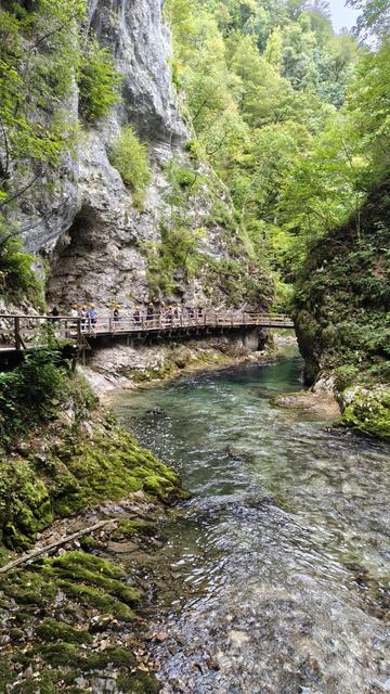 La garganta de Vintgar. En la foto se ve un río de aguas cristalinas en el fondo de un desfiladero plagado de árboles y, en la pared izquierda del cañón, un camino construido en madera para uso de los visitantes, que recorre toda la garganta (una media hora de camino). Las paredes del desfiladero tendrán un par de cientos de metros de altura y apenas se divisa el cielo en la foto.