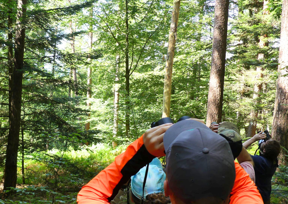 📸: FVA BW/Richard