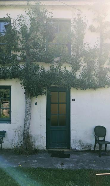 A house façade with pear tree