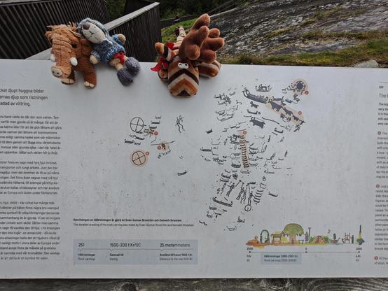 Auf dieser Tafel werden verschiedene Teile der Ritzungen markiert und besprochen (link im Text). Ganz oben rechts das Sonnensymbol