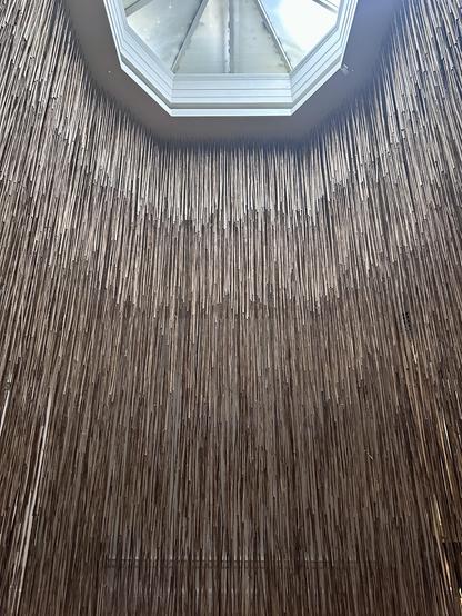 A photograph of Andy Goldsworthy’s work, Skylight, installed in the Royal Scottish Academy in Edinburgh. Hundreds of dried and hollowed pieces of reed mace (bullrushes) hang from the ceiling surrounding one of the building’s large multi-paned skylights. They are joined together and hang in a vast oval curtain that occupies most of the room. There is only a single “entry” point in the oval of the installation and this image is taken from the ground inside the oval looking up to the skylight. In front of the viewer is the huge hanging curtain of reeds, each essentially the same but each different, holding a special place for the light and directing us toward it.