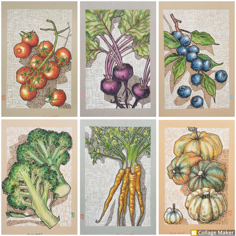 A photo collage of some of my fruit and vegetable drawings:
Cherry tomatoes, beetroot, blueberries, broccoli, carrots and pumpkins