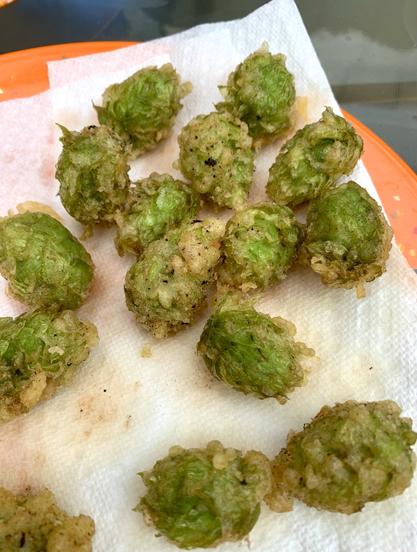 Tempura hops are served on a paper towel on a n orange plate.