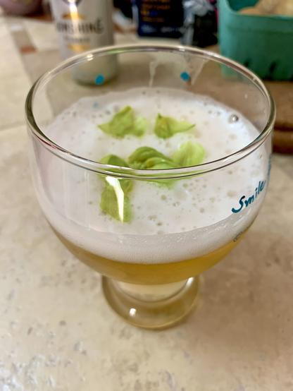 A glass of beer with some hop petals floating on the foam.