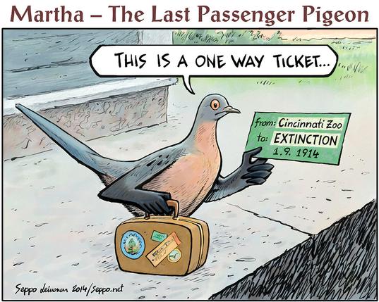 Cartoon of the Martha, the last passenger pigeon, that died in the Cincinnati Zoo First of September 1914.