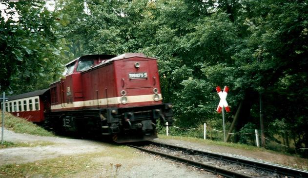 Locomotive 199 871-5 quelque part sur la Selketalbahn...