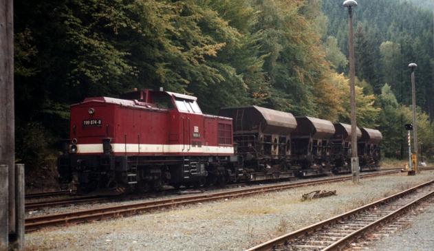 Locomotive 199 824-9 devant une rame de wagon posés sur "rollbocks" en gare d'Eisfelder Talmühle.