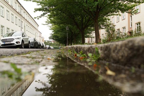 Schmale Straße 
Pfütze im Vordergrund, daneben Bordsteinkante, Bäume darüber, auf der anderen Straßenseite geparkte PKW, eingerahmt von Mehrfamilienhäusern