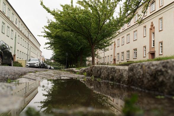 Selbe Straße, Pfütze 2m weiter mit sehr ähnlichem Blick