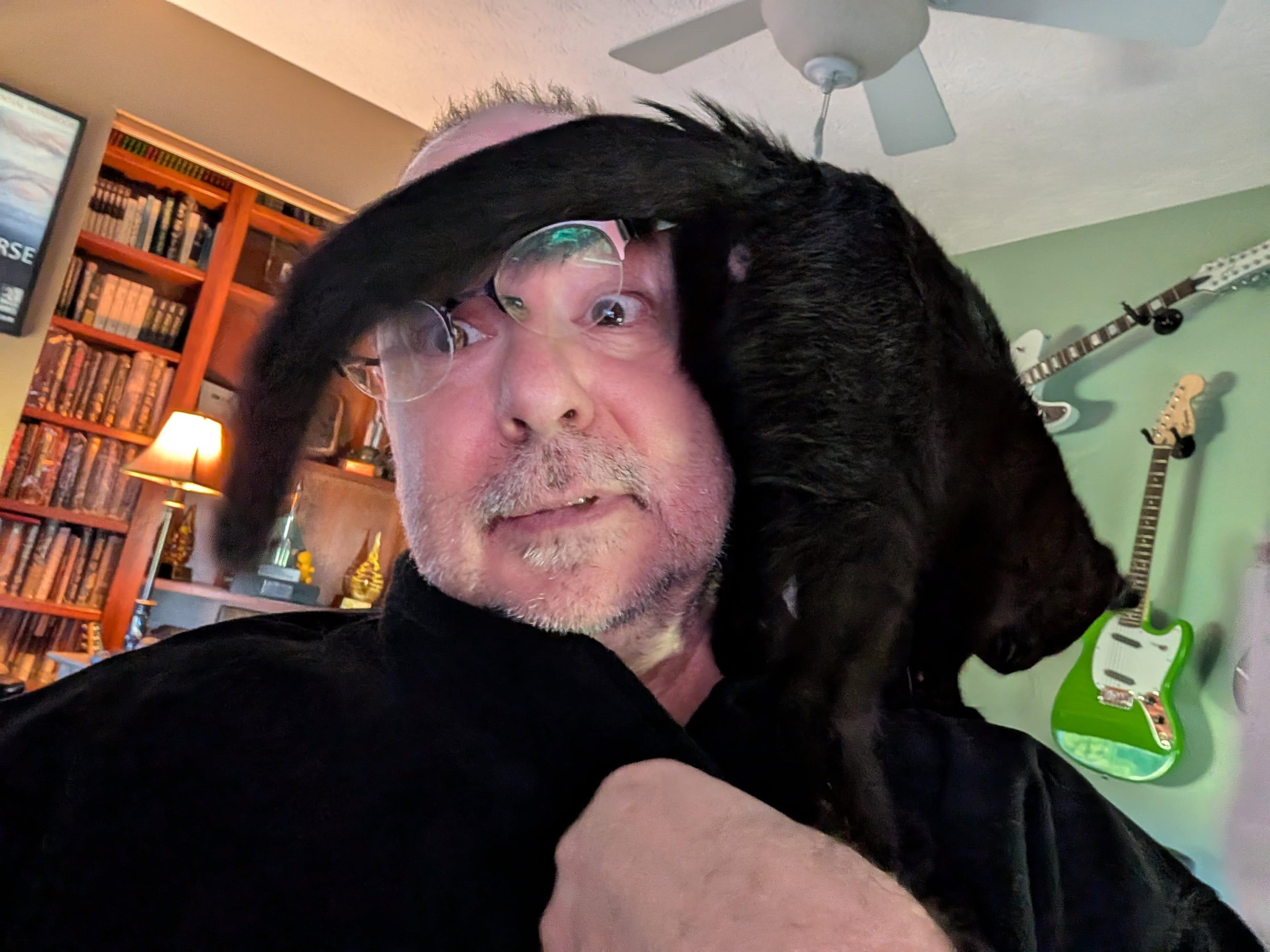 A small black kitten walking in my shoulder and knocking off my glasses