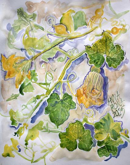 Painter - Anna Rona 
Series of paintings - Large watercolours from 2025
Title of the painting - Courgette
Technique - watercolour on paper 
Dimensions - 65 cm x 50 cm 
Year of creation - 2025 
The painting is available for purchase.
#courgette #garden #balcony #green #yellow #sun #rays #sunshine