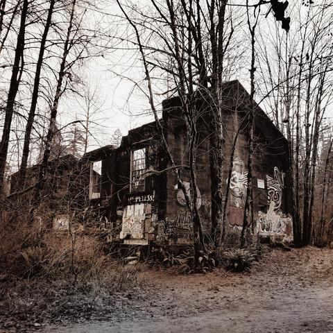 A sepia-toned, medium shot shows a dilapidated concrete structure overtaken by graffiti and framed by bare trees under an overcast sky. The building, clearly in ruins with gaping window openings, is covered in extensive graffiti art in various colors but mostly greyscale, obscuring much of its original facade. The surrounding landscape is dominated by leafless trees with their branches reaching upwards, contributing to the somber mood. A dirt path leads toward the building, which sits on a slight rise covered with fallen leaves and sparse vegetation. The overall scene conveys a sense of decay and forgotten history, emphasized by the muted color palette.