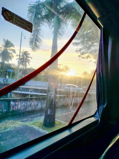 Vista da janela de um ônibus com algumas palmeiras e o pôr do Sol ao fundo.