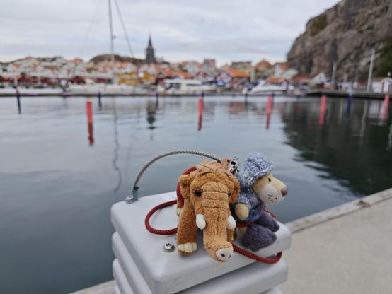 Ludwig und Manni auf dem Anlegerpier im Hafen von Fjällbacka