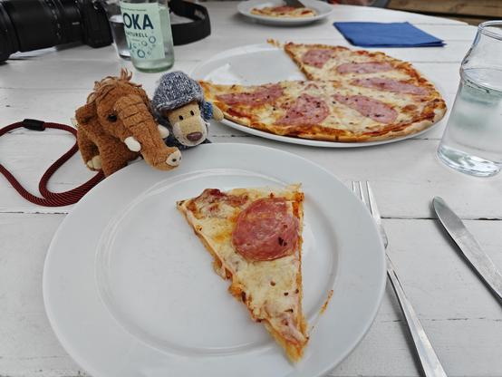 Pizza satt für den kleinen Löwen und seinen Kumpel Manni