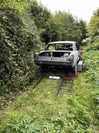 View from the rear of 1965 Ford Mustang stripped down to just shell and wheels sitting on the back of a trailer. The ramps are still in place on the trailer. The setting is a laneway that is very overgrown with brambles and other vegetation.