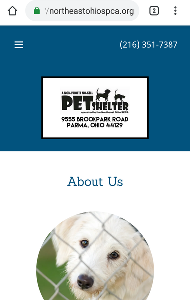 northeastohiospca.org 
— (216) 351-7387
9555 BROOKPARK ROAD
PARMA, OHIO 44129

A no-kill non-profit pet shelter

Pic of a white dog at the bottom