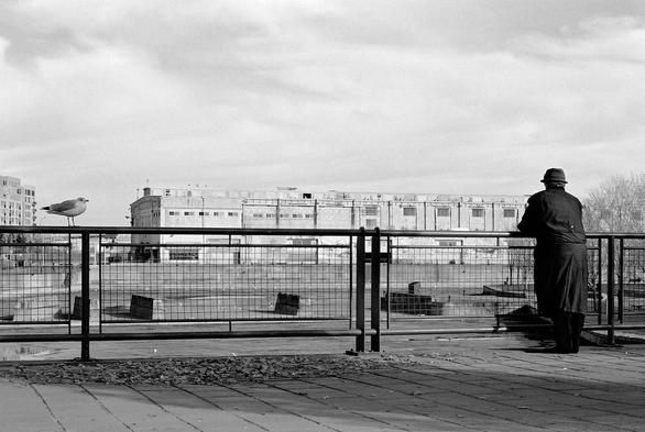 A seagull looks at a person in a hat and overcoat leaning against a railing, looking out over an empty basin along the St. Lawrence river. (Version françæ) Æn goéland regarde æn personne en chapeau et pardessus accoudæ à æn rambarde, qui regarde æn bassin vide dal Sainx-Laurent.