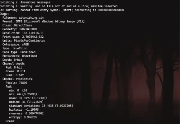 Screenshot of a terminal showing the following truncated output:

tonishing.s: Assembler messages:
tonishing.s: Warning: end of file not at end of a line; newline inserted
ld: warning: cannot find entry symbol _start; defaulting to 0000000000400000
Image:
  Filename: astonishing.bin
  Format: BMP3 (Microsoft Windows bitmap image (V3))
  Class: DirectClass
  Geometry: 320x240+0+0
  Resolution: 118.11x118.11
  Print size: 2.70934x2.032
  Units: PixelsPerCentimeter
  Colorspace: sRGB
  Type: TrueColor
  Base type: Undefined
  Endianness: Undefined
  Depth: 8-bit
  Channel depth:
    Red: 8-bit
    Green: 8-bit
    Blue: 8-bit
  Channel statistics:
    Pixels: 76800
    Red:
      min: 0  (0)
      max: 64 (0.25098)
      mean: 31.3777 (0.12305)
      median: 31 (0.121569)
      standard deviation: 18.4035 (0.0721705)
      kurtosis: -1.19998
      skewness: 0.000474742
      entropy: 0.996205
    Green: