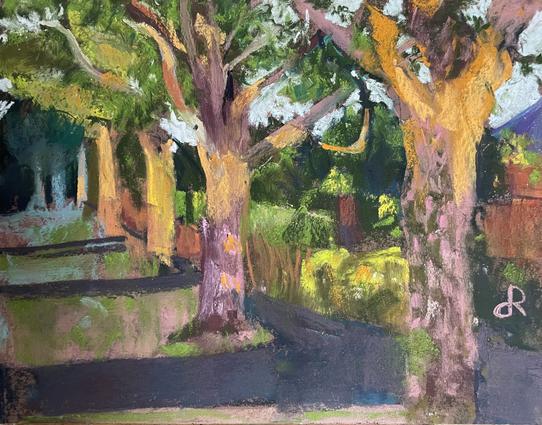 Pastel painting of trees in evening light