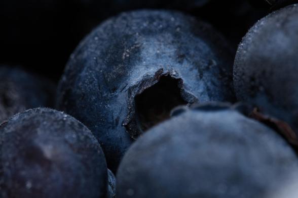 A close up macro photo of frozen blueberries.