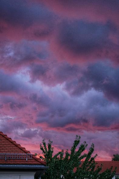 Rosa-Lila-Blaue Wolkendecke über Baum und Haus 
(Dieses Bild entstand entgegen der Tags mit dem SEL55210)