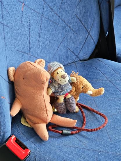 Unsere neue Reisegefährtin, Ludwig Löwe und Manni sitzen in einem Bus der Göteborger Västtraffik, Bezug blau mit eingewebten schrägen Streifen