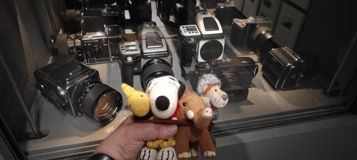 Woodstock, Snoopy, Manni und Ludwig Löwe vor verschiedenen Hasselblad Kameras (hier neuere Modelle)