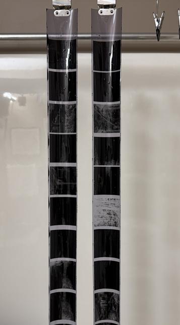 Two rolls of 120 film negatives hanging to try - most frames appear to be pretty overexposed and overly dense