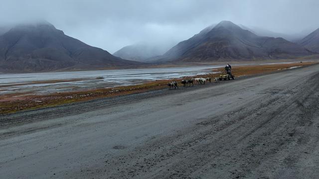 Dog sledding with a cart