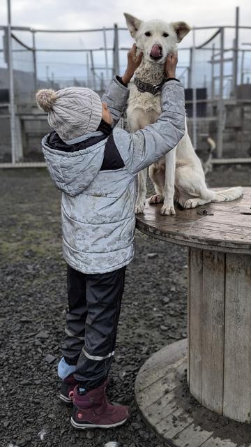 Cuddle with dog