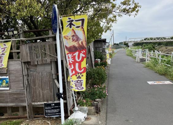 A warning banner on a local bike path. "Be Aware of Crossing Cats"