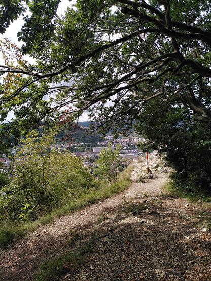 Aussicht durch Bäume auf einen Felsen und eine Stadt im Hintergrund