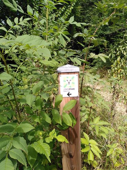 Wanderschild Löwenpfade