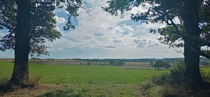 Vue sur un pré, entre deux arbres. Tout droit, on peut distinguer le Puy de Dôme