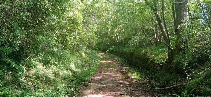L'ancien chemin du Tacot, qui passe le long du château, sous des arbres