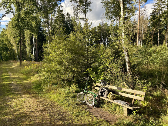 A bench in a forest with a foldable bike leaning against it
